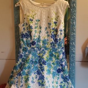 Sandra Darren sundress